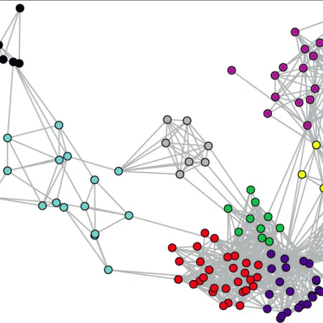 Network Analysis